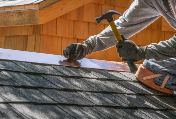 Best Roof Moss and Algae Removal  in Mascotte, FL