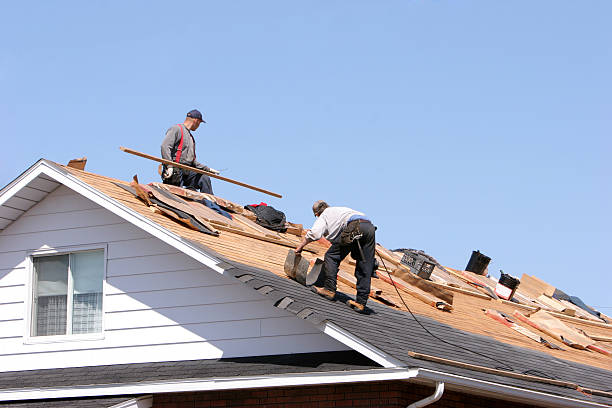 Fast & Reliable Emergency Roof Repairs in Mascotte, FL