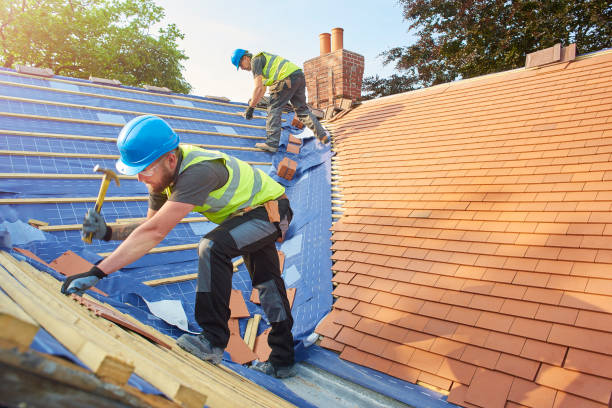 Best Wood Shake Roofing  in Mascotte, FL